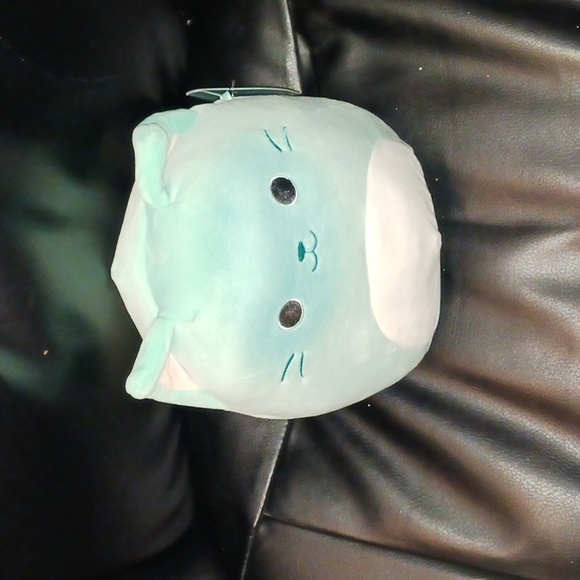 Sigrid the cat squishmallow - Picture 4 of 4